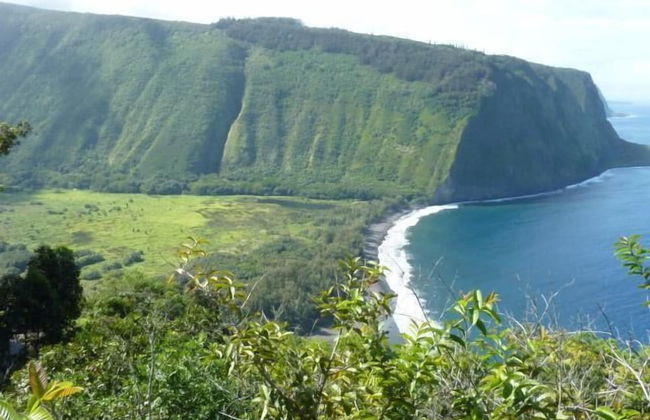 Wai'ula'ula D201 - Photo 38