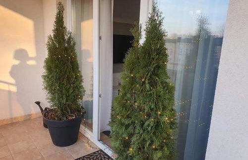 Prestige Apartment Słupsk - Photo 13