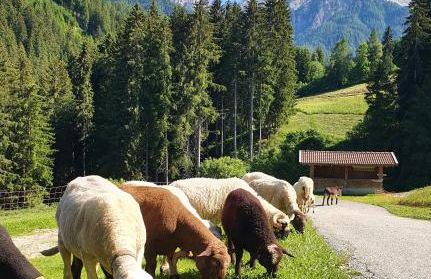 Residenz Erschbaum - Foto 37