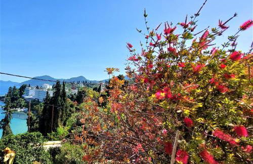 House Lana - Foto 20