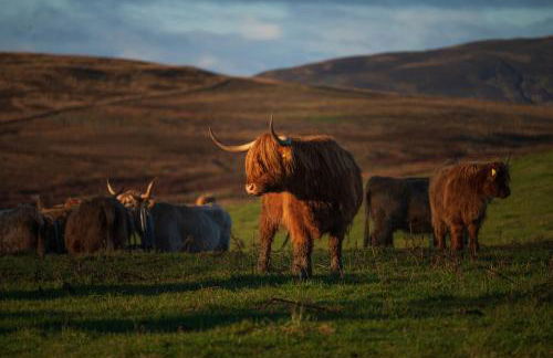 Kipney Farmhouse with hot tub - Photo 62