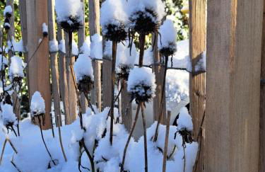 Gemütliche Waldrandlage in Badenweiler Sehringen Ferienwohnung - Foto 58