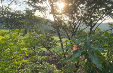 Sítio Alvorada - Paraíso localizado no Circuito das Águas Paulista - Foto 25