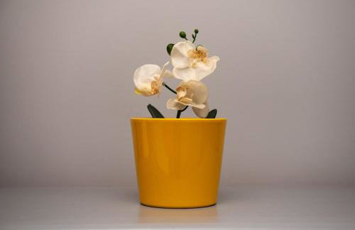 Large 4BDR House By Hyped Properties Short Term Rental Agency With Free Parking & Long Stays Shirebrook - Foto 49