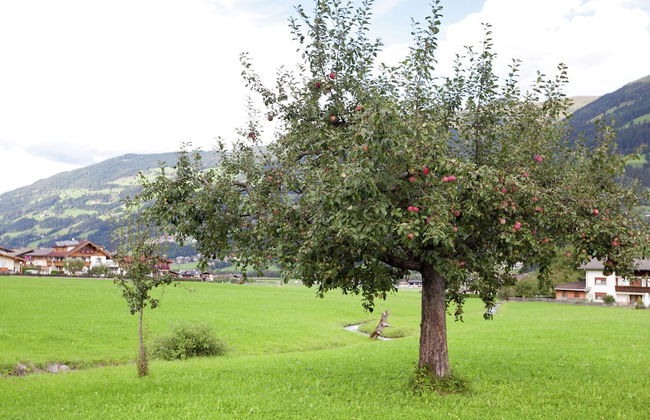 Beautiful Apartment in Fugen / Zillertal - Foto 26