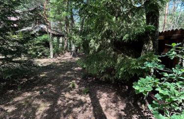 Leśna Chata Arciechów - Foto 19