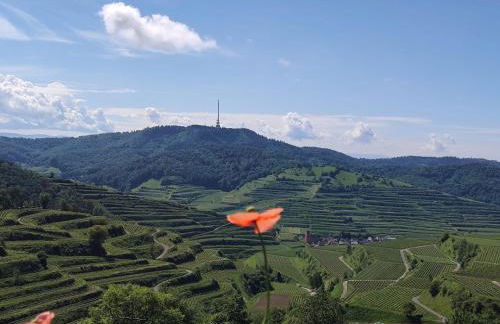 Ferienwohnung Angie - Foto 25