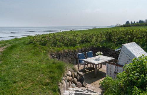 Kleines Nest (Wattküken) - Foto 16