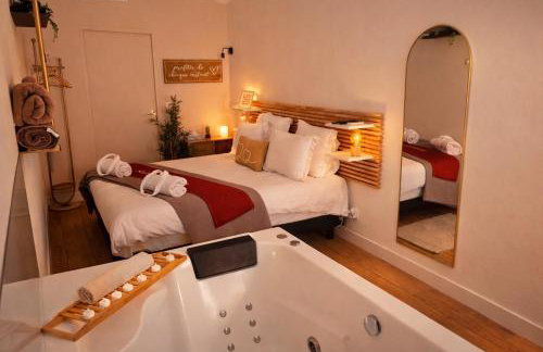 Perle Dazur Jacuzzi Suite Parking Prive 5min Mer - Foto 4