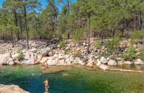 Palmeraie102 - Foto 15