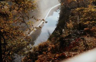 La Cabane dans les arbres du Domaine de la Forestière - Foto 2