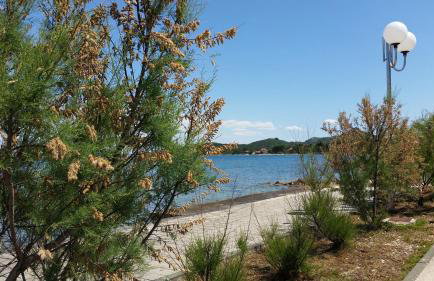 Apartment Sajković - Foto 18