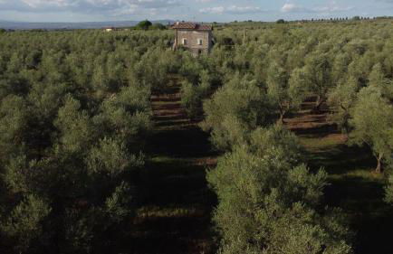 Agriturismo I Due Casali - Foto 35