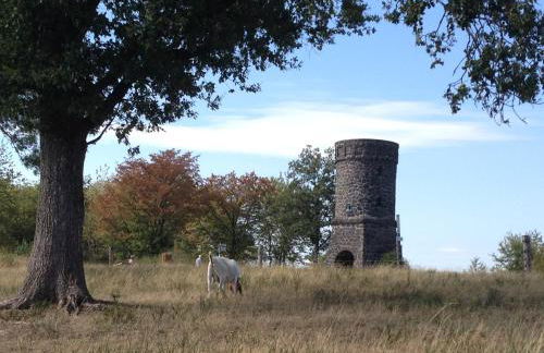 Fewo Vulkaneifel - Foto 33