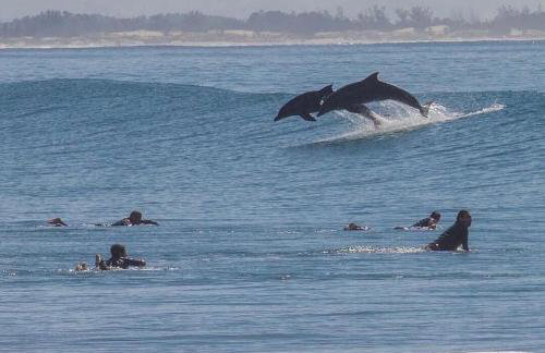 Resid. Clube Mar Grosso - Laguna - LAG100 - Photo 41