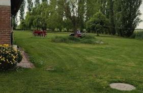 Villa i Cipressi Bed and Breakfast Casa vacanza - Photo 58