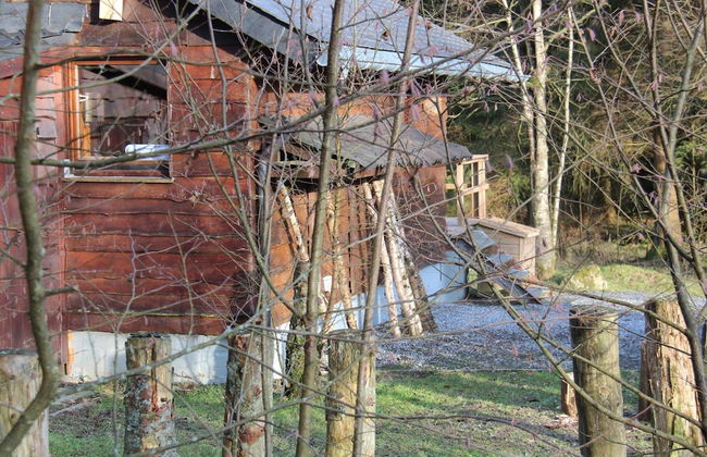 Cozy Forest Chalet Escape - Photo 22