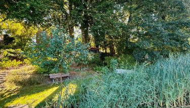 House With Private Jetty On Neversdorfer See - Foto 2