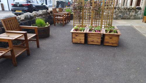 Craiglea Thistle - Foto 3