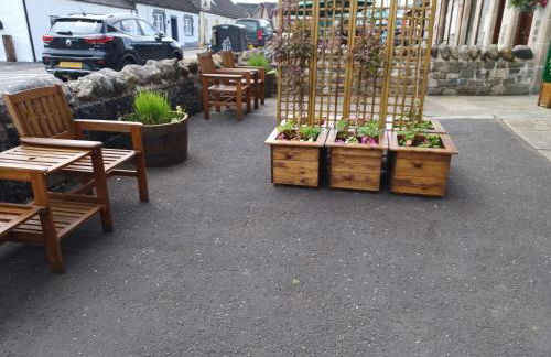 Craiglea Thistle - Foto 3