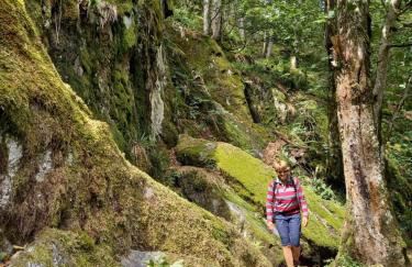 Maison proche du centre de Colmar - Chez Michel - Foto 25