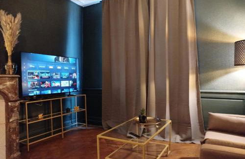 Nancy Vieille ville Stanislas - Foto 46