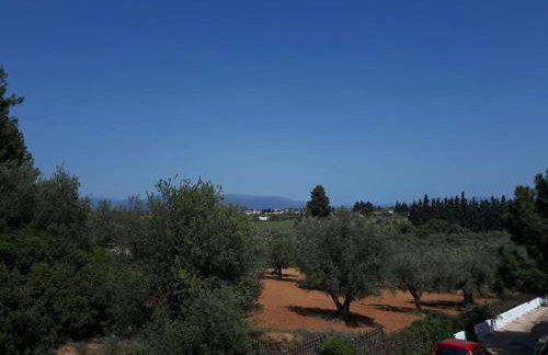 Villa - Farmhouse - Photo 3