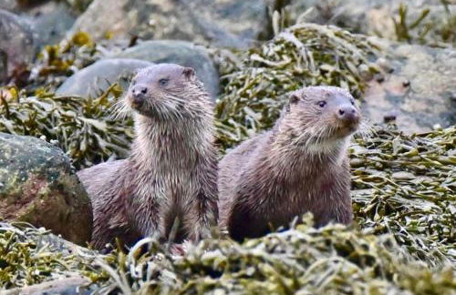 Pirnmill Home with a view - Photo 14