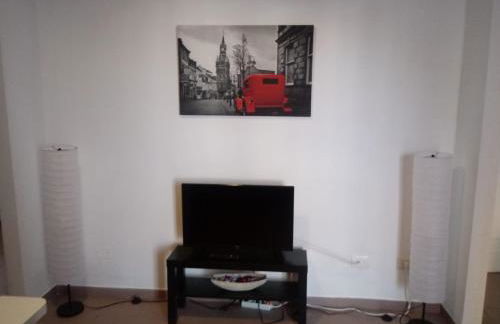 APARTAMENTO BEDIESTA - Foto 10