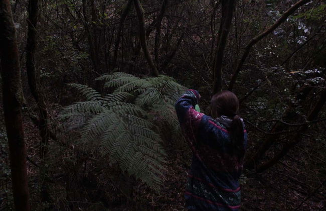 Senderos del Bosque Ecological Reserve Tour - Photo 5