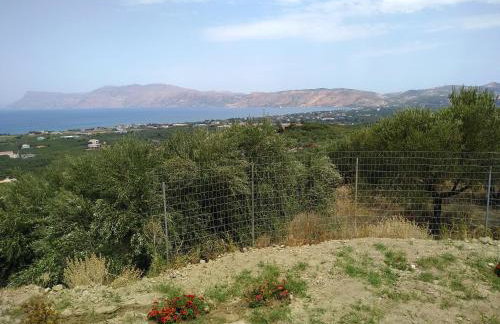 OLIVE BREEZE - Photo 35