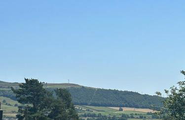 Tar Top - Photo 16