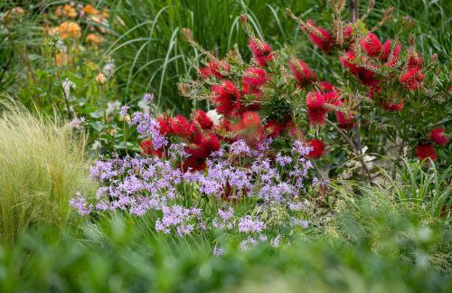 DUE VILLAS Apartments - beautiful beach apartments - Photo 30