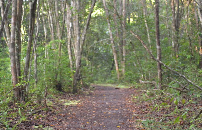 Houseboat Bee Kelotok - Foto 68