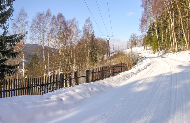 Albrechtice - Foto 43