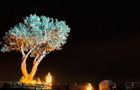 Villa Horizon - Photo 71