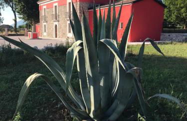 Agriturismo Dipinto Dal Sole - Foto 11