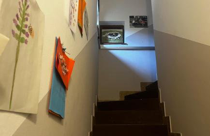 Natrural Budinjak, Zumberak - Photo 9