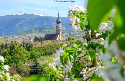 La Rosea - Fine Living Apartments - Foto 32