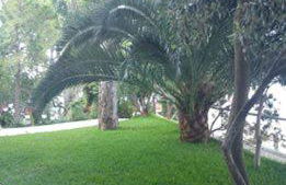 Tzeni Villa - Foto 75