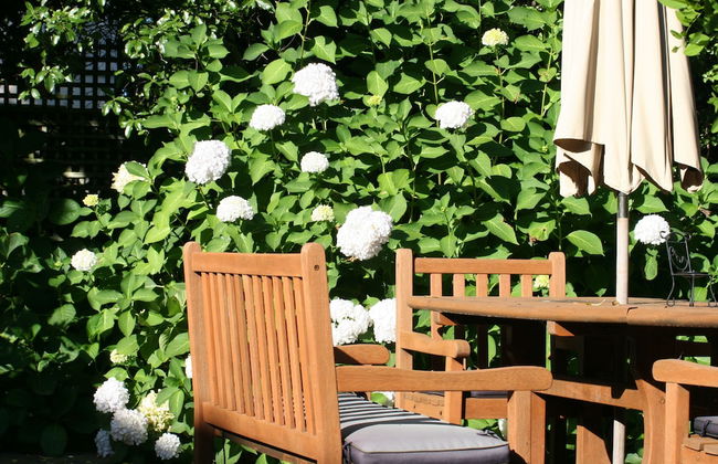 Walnut Grove Lodge - Foto 42