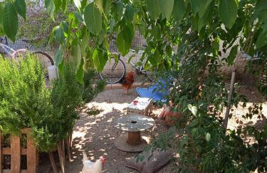 Το Μικρό Σπίτι στη Φάρμα! - Photo 24