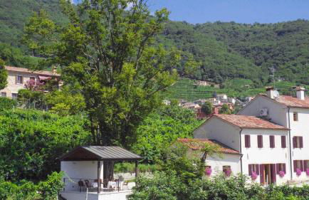 Agriturismo due Carpini - Foto 32