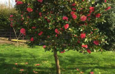 Little Banks Barn - Foto 56