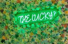 The Lucky 7 - Photo 17