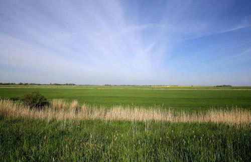 Ferienhaus Achter de Diek - Foto 26
