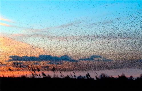 Wilf's Barn, romantic cottage with free parking - Foto 33