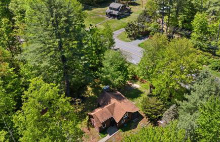 The Bears Nest - Foto 4