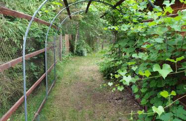 Brązowy Domek - Tleń, Bory Tucholskie - Foto 15