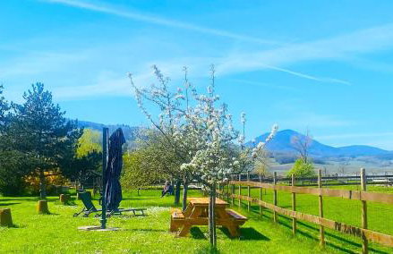 L'Etoile du Vignoble Meublé de Tourisme 4 étoiles au cœur d'un ranch alsacien sur la route des Vins - Climatisé - Foto 36